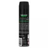 Lynx Africa Aerosol Bodyspray Deodorant 250ml