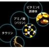 kuriafo-men ekusutorakeakondyisyona- tumekae For G