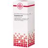 Bryophyllum D6 DHU Dilution, 20 ml DIL