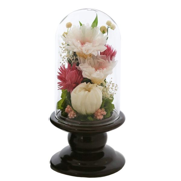 ArtFour Seasons Buddha Flower (Brown Series), Mini Winged Chrysanthemum Glass, Pink Preserved Flowers