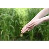 Taiyo Foods TUYU 2-Layer Serum
