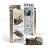 EUGY Eco-Friendly 3D Paper Puzzle (Sea Otter)