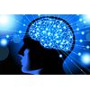 brain age - BRAIN & MEMORY BOOSTER - 1B - increase blood circulation in brain