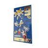 SONIC THE HEDGEHOG AGE 9 BIRTHDAY CARD.