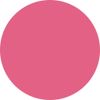 PREANFA PremDoll Muse Color Gel Masheri Pink 579 3g PDU-M579 Gel Nail