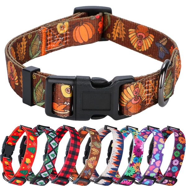 Rhea Rose Fall Halloween Thanksgiving Dog Collars Small Size