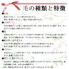 [Made in Japan] Foundation Brush, Small (LQ-05)