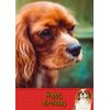 King Charles Birthday Card