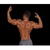 Weight Gain Supplement - L-CARNITINE 510mg - Carnitine - 1 Bottle
