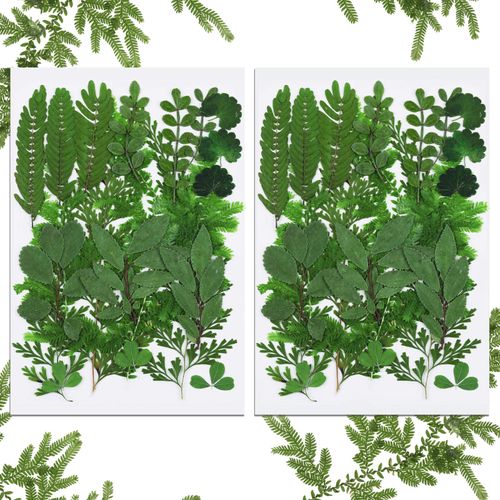 BBTO 42 Pieces Dried Pressed Leaves Dried Flowers for Resin Real Assorted Dried Greenery for Pressed Leaf Art Craft DIY Embellishment Decorations, 7 Styles