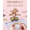 Rolife TG415 3D Puzzle