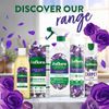 Zoflora Midnight Bloom Multi-Purpose Disinfectant Cleaner Spray 800 ml