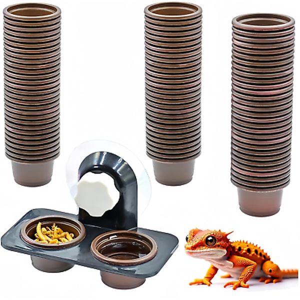 100 Eco Cups + Feeding Ledge [Non-Suction Cup], Reptile Food Bowls and Water Dis