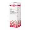 Lilium tigrinum D2 DHU Dilution, 20 ml Lösung