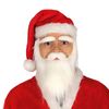 Fiestas Guirca Beard mustache and white eyebrows