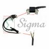 Ignition Coil For Predator 6500 8750 9000 Watts Generator 13HP 420cc Gas Engine