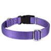 Hyhug Design Classic Basic Nylon Dog Collar, Can Install Dog Tag (Large, Ultra Violet)