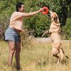 Chuckit! Breathe Right Fetch Wheel