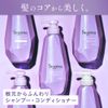 Segreta Conditioner, Fluffy From Root, Refill