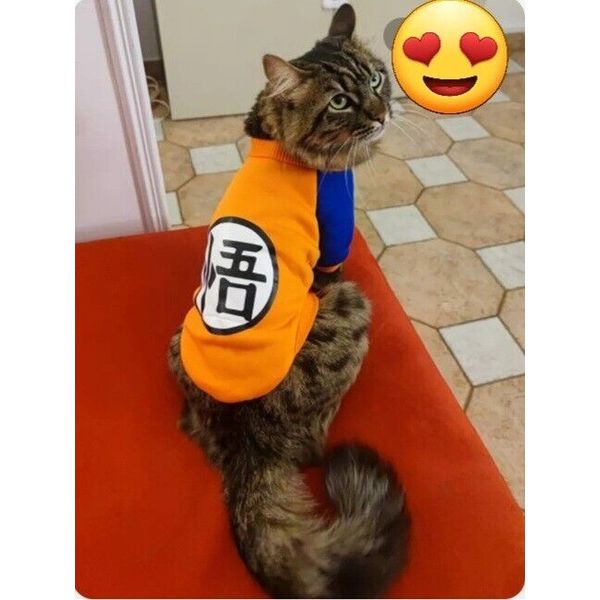 Fashion Pet Cat Costume spring Cat Vest Hoodie Cozy Clothes for Cats Dragonball