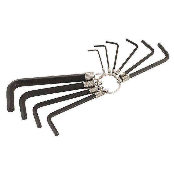 Sealey Ak6148 Hex Key Set On Ring 10Pc Metric