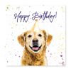 Golden Retriever Birthday Card - Party Hat