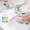 Medicated Foam Hand Soap, 8.5 fl oz (250 ml)