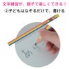 Shimajiro Pencil with Draft Pen (Made in Japan)