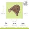 Komodo Wooden Hide for Reptiles, Large Size