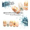 Metallic Crush Shell Powder (Brown) Shell Shell Shelf Lake Plate Nail Resin Stone