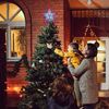 Christmas Tree Topper DG (8.3 Inch 31 LED Twinkling Multicolor)