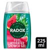Radox Shower Gel Feel Hydrated 225ml