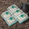 5Pack Seed Starter Trays with Grow Light Seed Starter Kit Seed Growing Starting