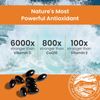 Hawaiian Astaxanthin 120 Count Super Antioxidant Immune Support Supplement