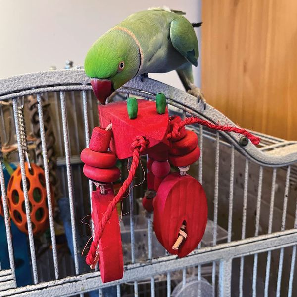 Jimmy the Lobster Play Perch Parrot Toy
