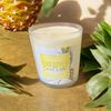 10 oz Single Wick Pineapple & Coconut Water Scented Candle