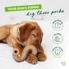 Benebone - Tripe Bone L 16 cm - (81005421040)