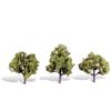 Classics Tree, Early Light 10cm x 13cm (3)