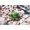 Turtle Soap Dish and Soap Set