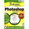 Greenstreet Professor Teaches: Photoshop 7 & CS Training Suite (PC)