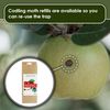 Codling Moth Refills Pack of 2
