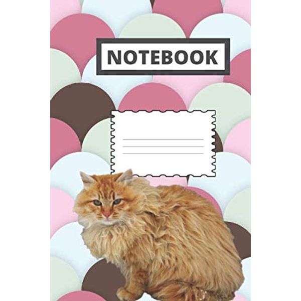 Notebook: Maine coon cat college notebook | 6 x 9 | 120 pages