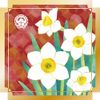 Hanaeimi Hand Cream January Daffodil