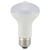 LED Light Bulb, Reflex Shape, E26, Equivalent to 40, Motion Sensor, Light and Dark Sensor, Bulb Color
