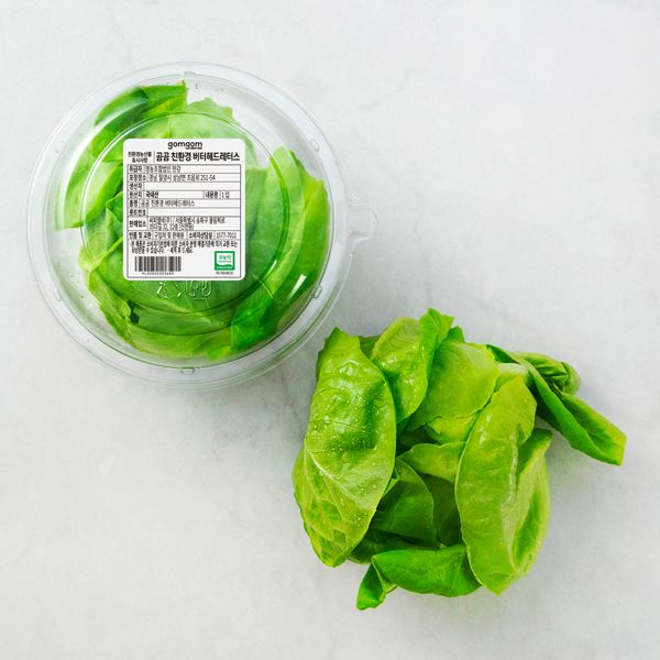 Gomgom Eco-Friendly Butterhead Lettuce, 90g, 1ea