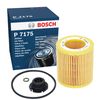 Bosch P7175 - Oil Filter Car