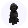 24 x 40mm Round 'Black Cavapoo' Stickers (SK00047978)