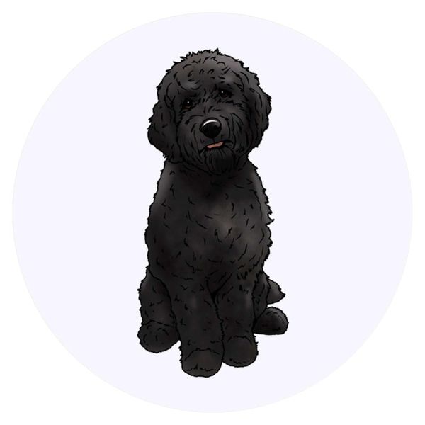 24 x 40mm Round 'Black Cavapoo' Stickers (SK00047978)