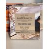 Wallflowers Refills 2 NIB DM CHOICE FLANNEL PUMPKIN SAGE