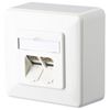 BTR E-DAT C6A UP - Wanddose - RJ-45 X 2 - Pure White